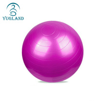 Jugland Großhandelspezifische gedruckte Logo Pilates Übungen PVC Yoga Ball 55 cm